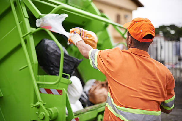 Best Shed Removal  in Tremont, IL